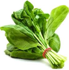 [VEG-1070] Spinach 1 bunch