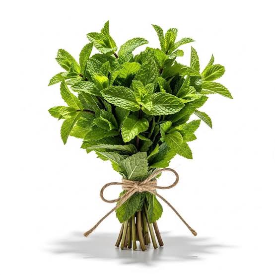 [VEG-1072] Mint 1 bunch