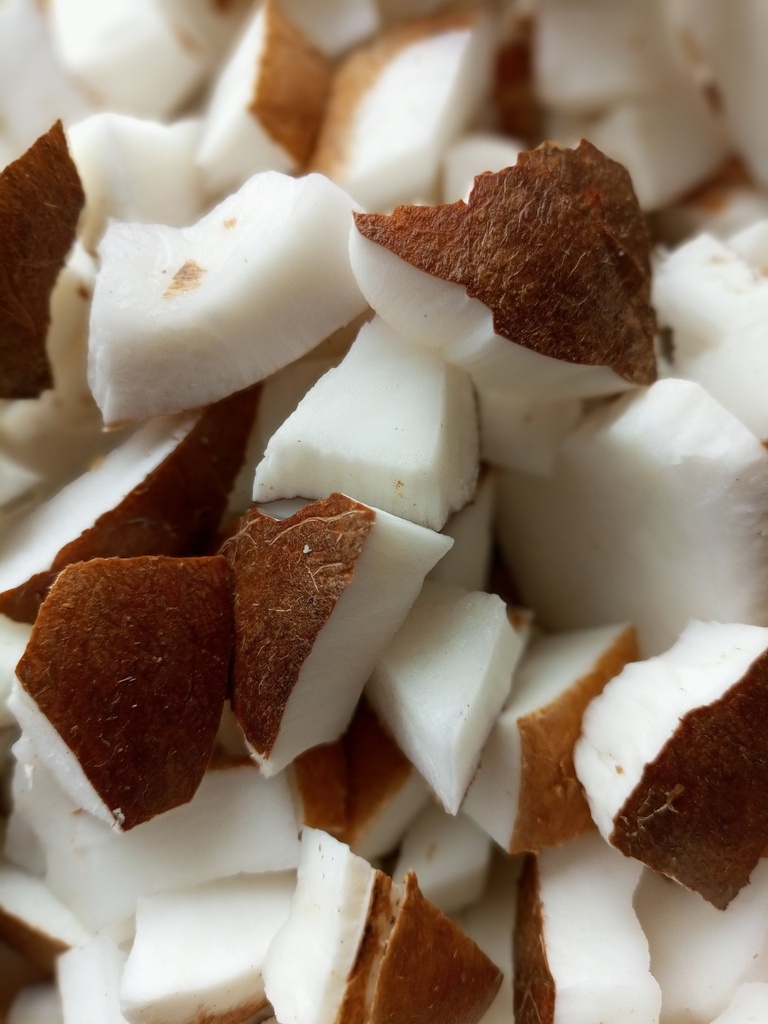 [COC-1091] Coconut Flour 500g