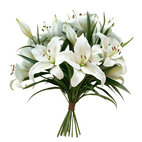 [FLO-1119] White Lily Arrangement