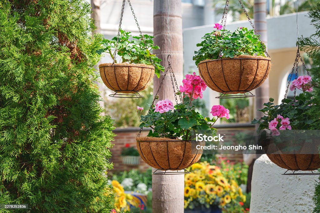 flower swig